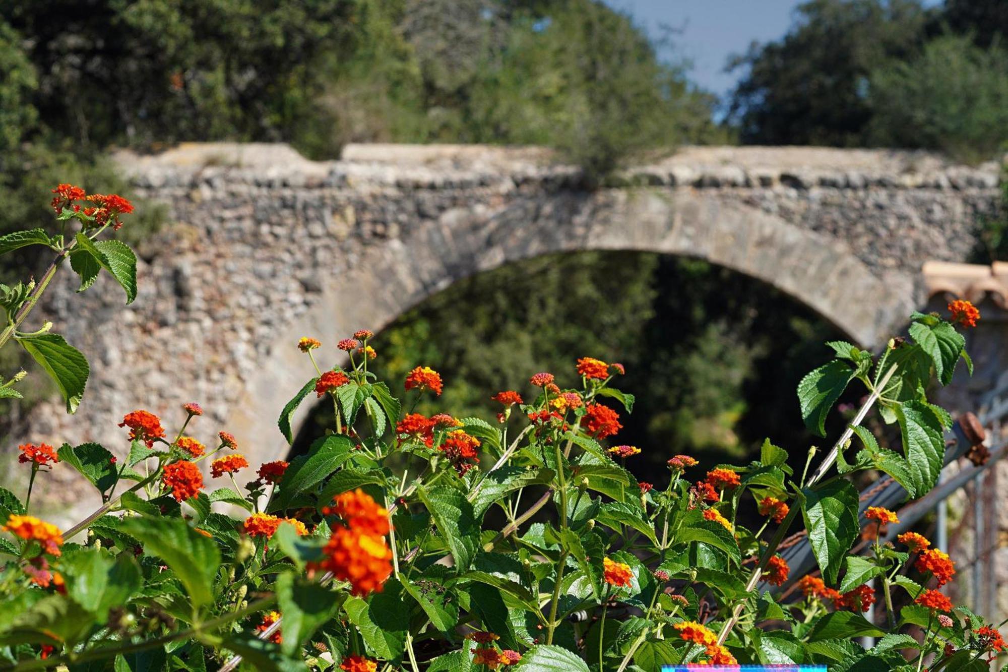 Villa Camp Redo Pollença Dış mekan fotoğraf